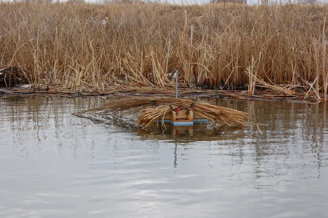 Muskrat Floats: An Overview | Trapping Archives
